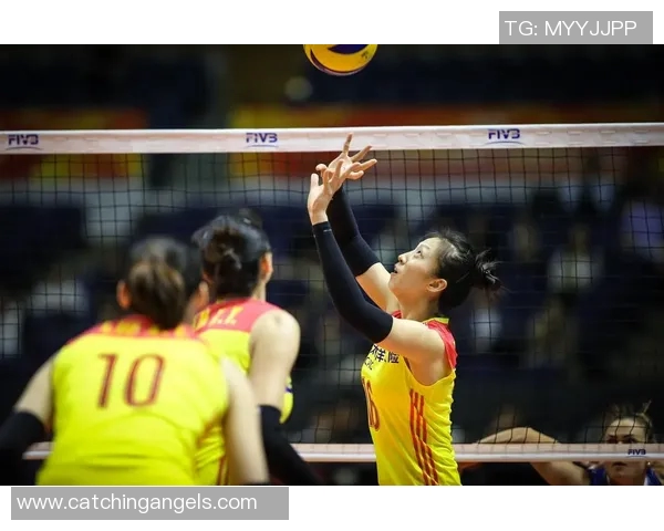 广州排球队实力深度解析与对手对比分析