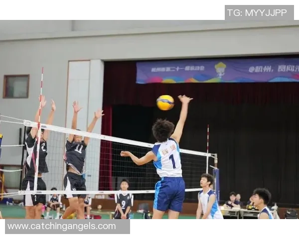 武汉排球队的节奏与魅力探秘：排球运动的热情与团结之道