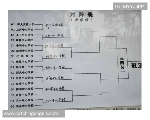 深圳篮球队的个人能力揭秘：从技术到战术的全面分析与探讨