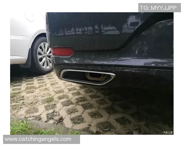 攀岩力量排行榜：武汉攀岩队位居第7名