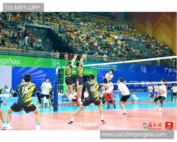 排球深度：解密广州排球队的反击