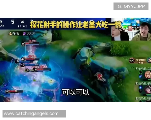 王者荣耀评论：WE的反击得失